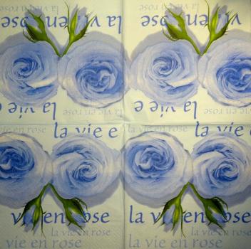 022 Rosen - 3-lagig
